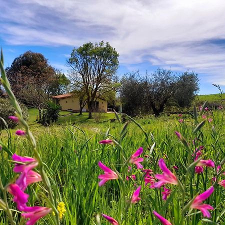 Agriturismo La Sorgente Fonteblanda Ngoại thất bức ảnh