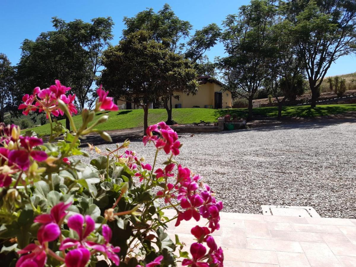 Agriturismo La Sorgente Fonteblanda Ngoại thất bức ảnh